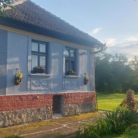 Apartmani Petkovic 226 Velika Drenova Bagian luar foto