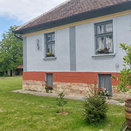 Apartmani Petkovic 226 Velika Drenova Bagian luar foto