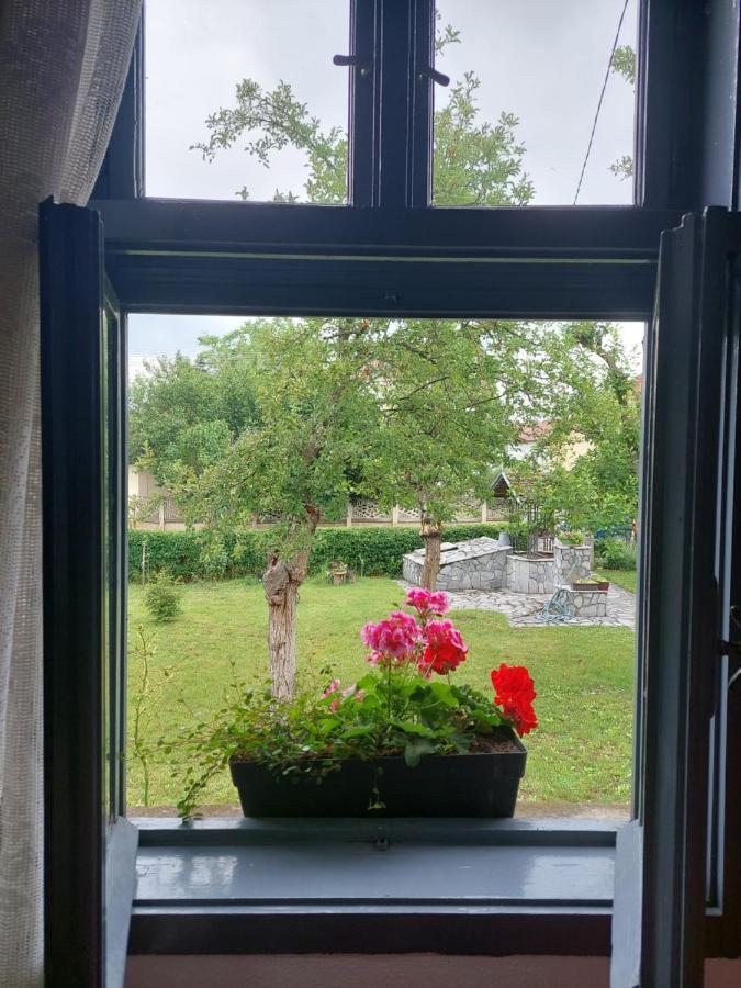 Apartmani Petkovic 226 Velika Drenova Bagian luar foto