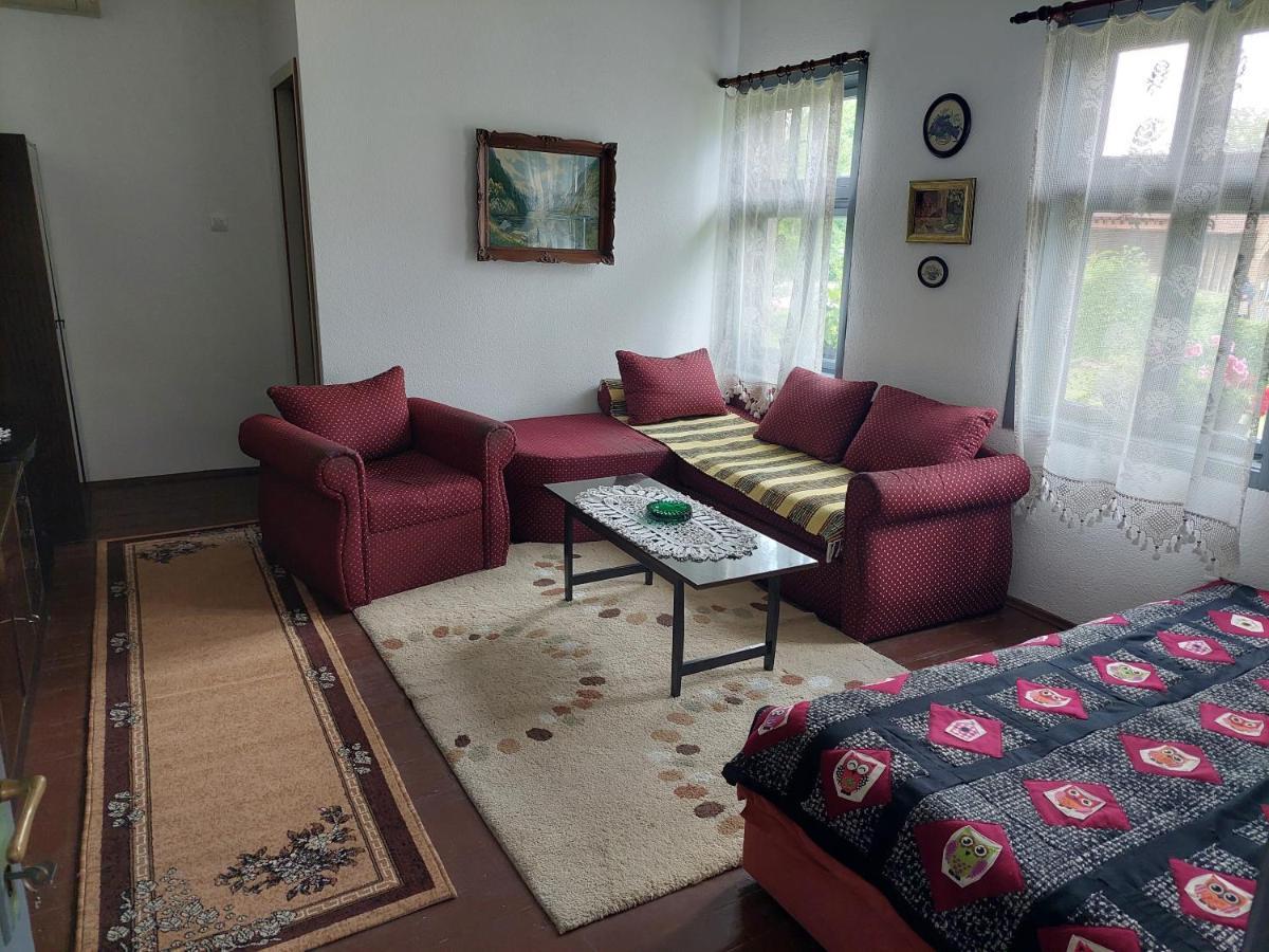 Apartmani Petkovic 226 Velika Drenova Bagian luar foto