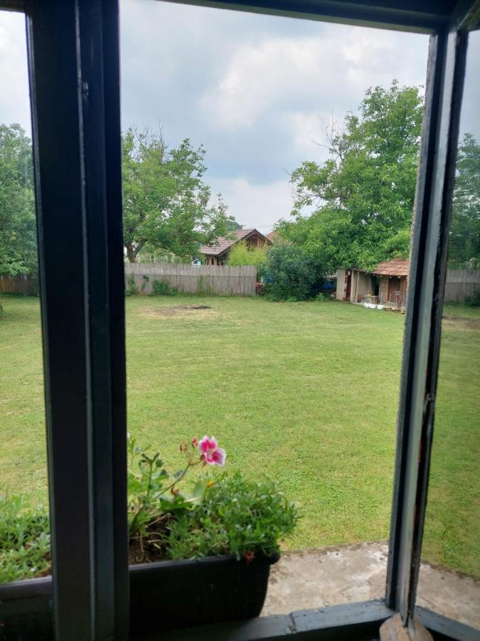 Apartmani Petkovic 226 Velika Drenova Bagian luar foto