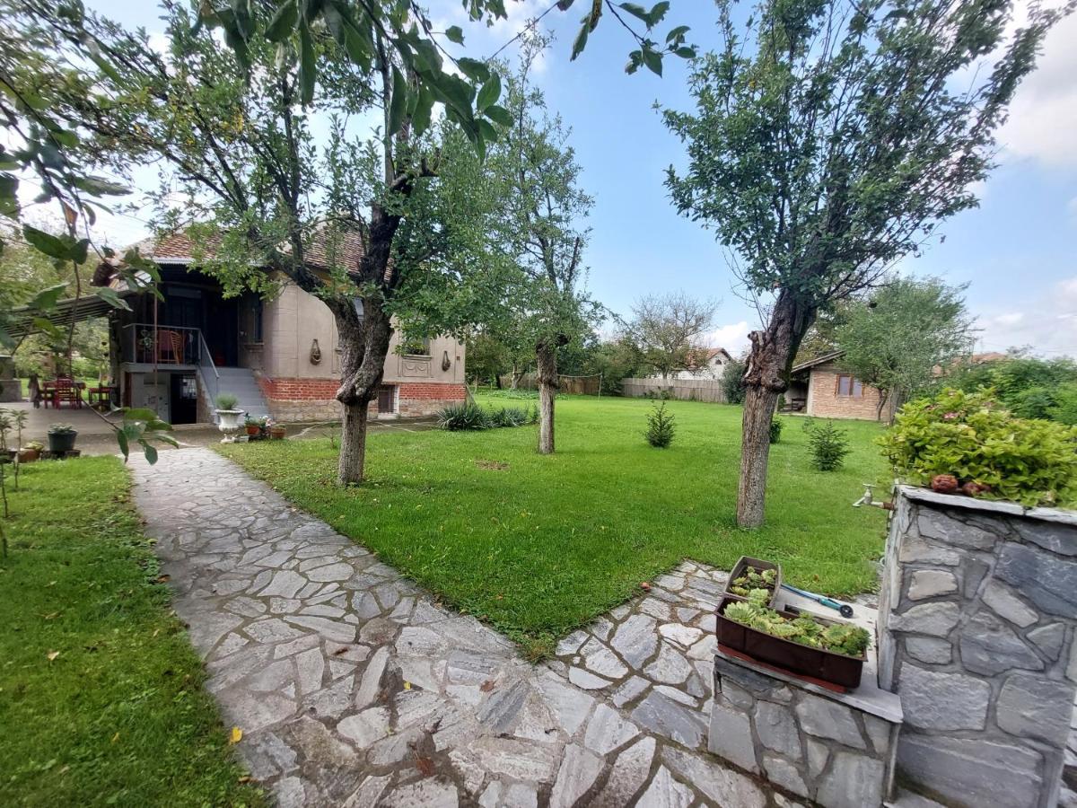 Apartmani Petkovic 226 Velika Drenova Bagian luar foto