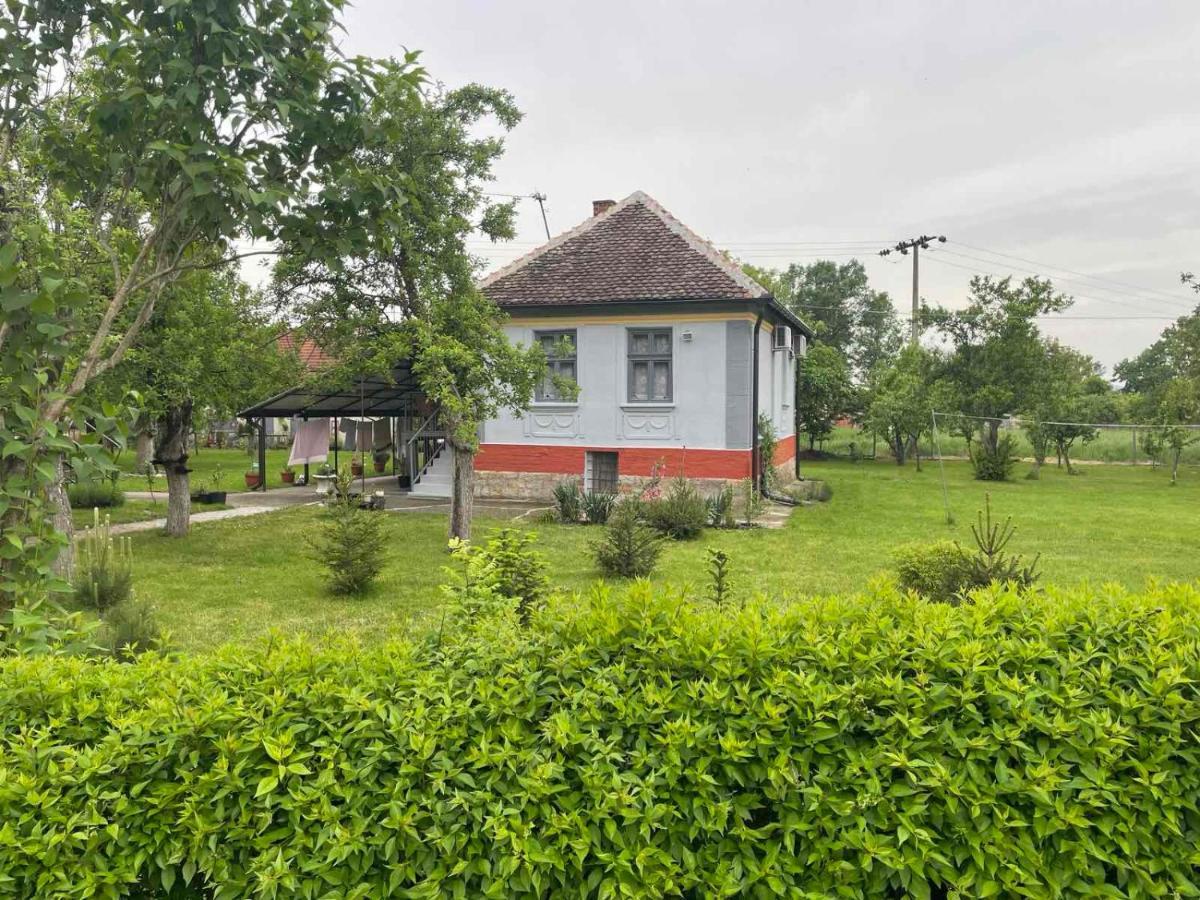 Apartmani Petkovic 226 Velika Drenova Bagian luar foto