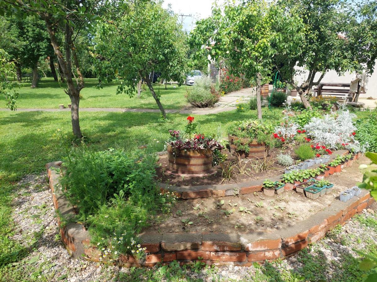 Apartmani Petkovic 226 Velika Drenova Bagian luar foto