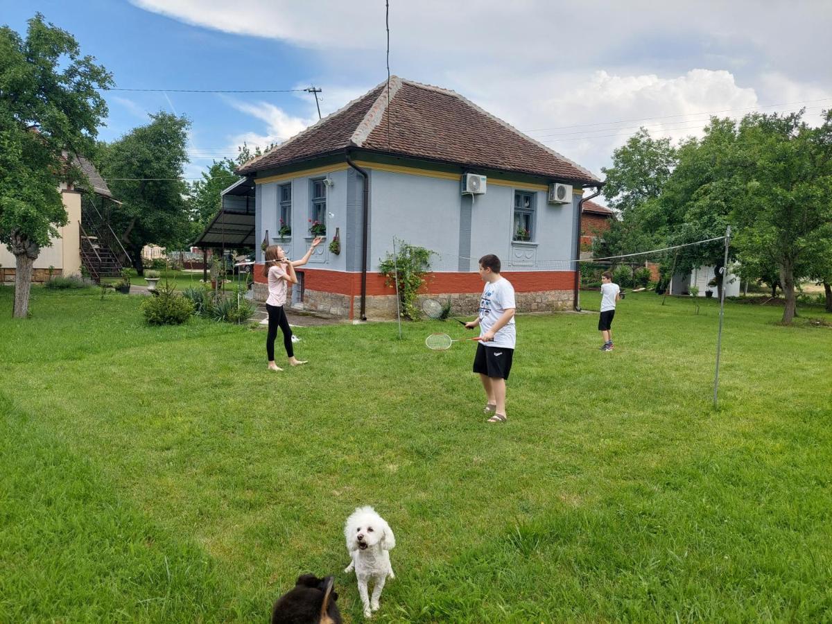 Apartmani Petkovic 226 Velika Drenova Bagian luar foto